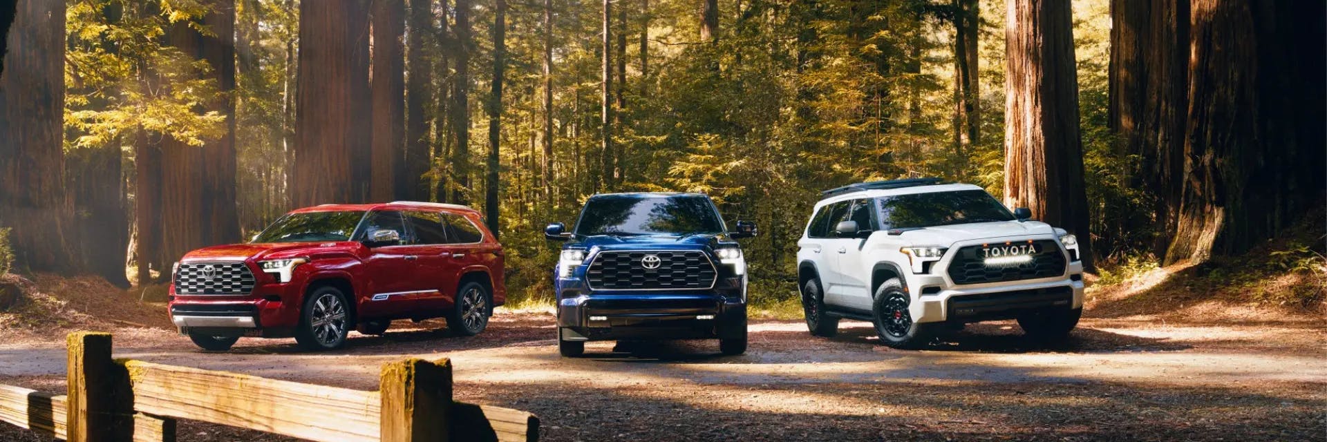 2025 Toyota Sequoia line up