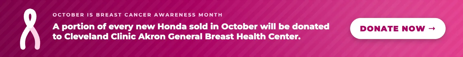 Breast Cancer Awareness Donation (DV-44228) | Great Lakes Honda