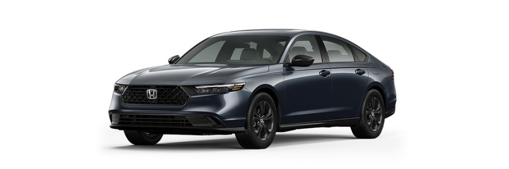 Honda Accord jellybean