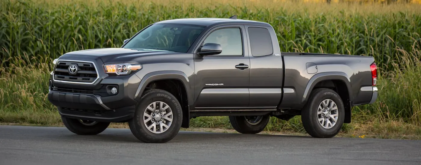 Grey 2017 Toyota Tacoma parked in front of a field of corn