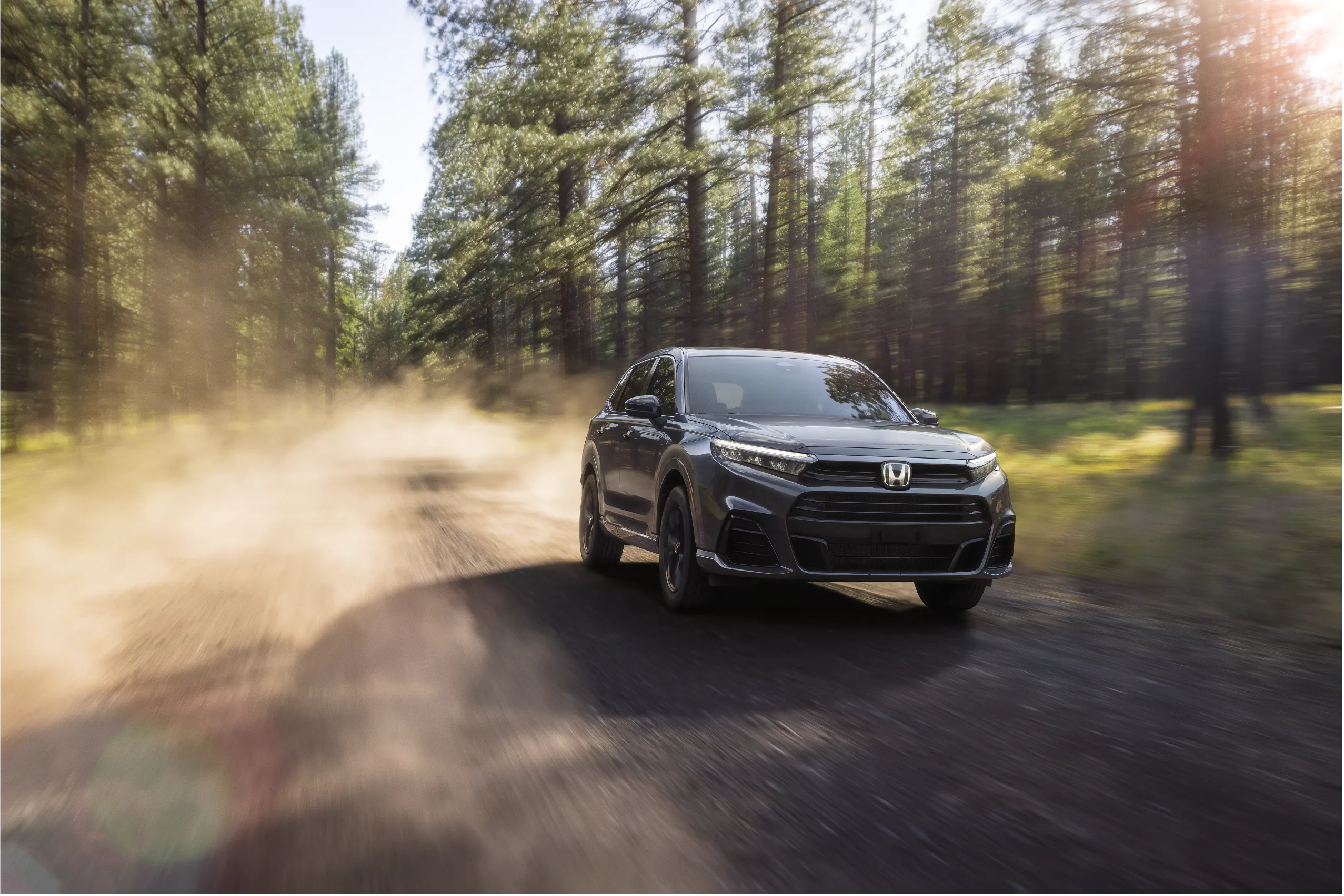 Honda CR-V Hybrid driving on forest road near Tongass National Forest