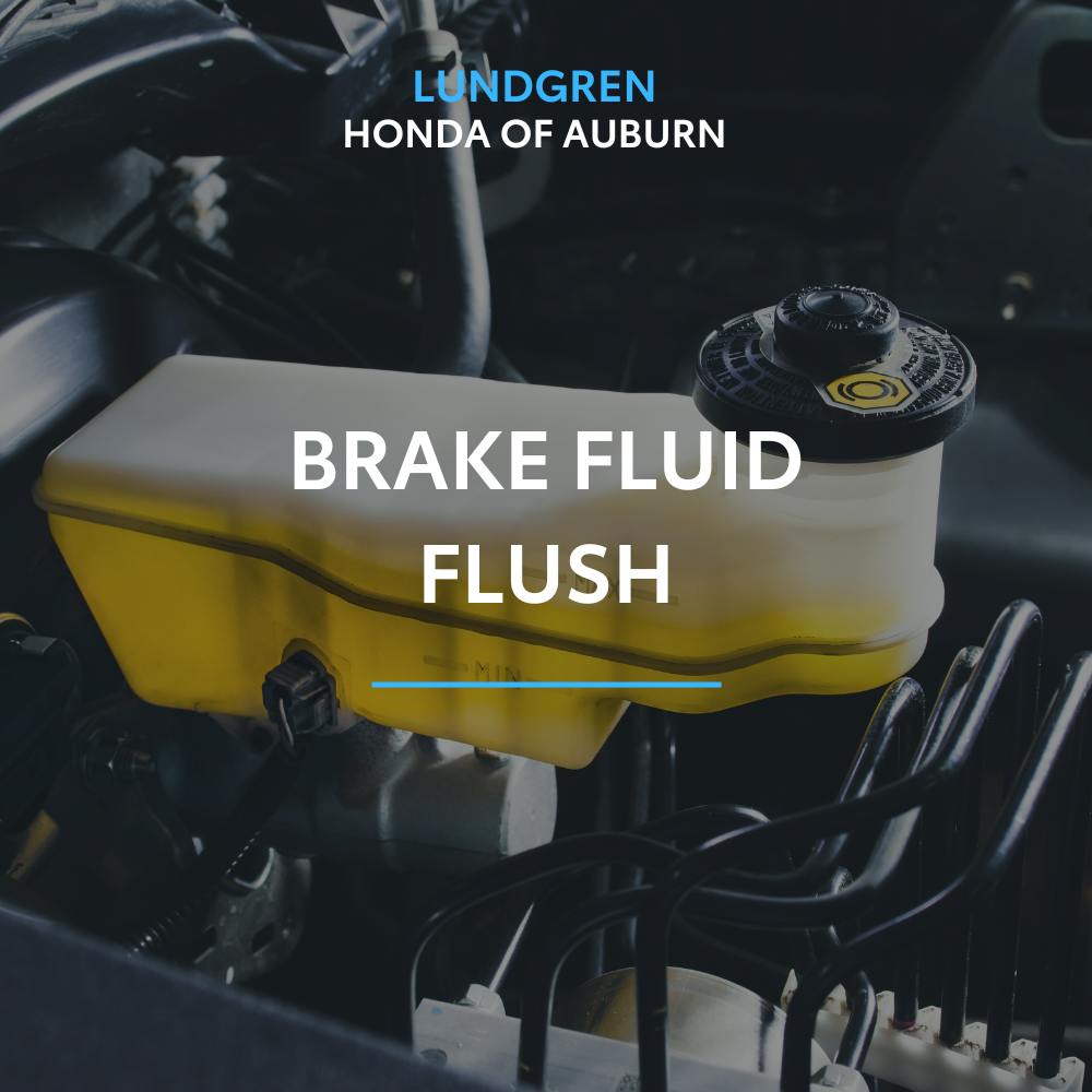 Brake Fluid Flush | Lundgren Honda of Auburn