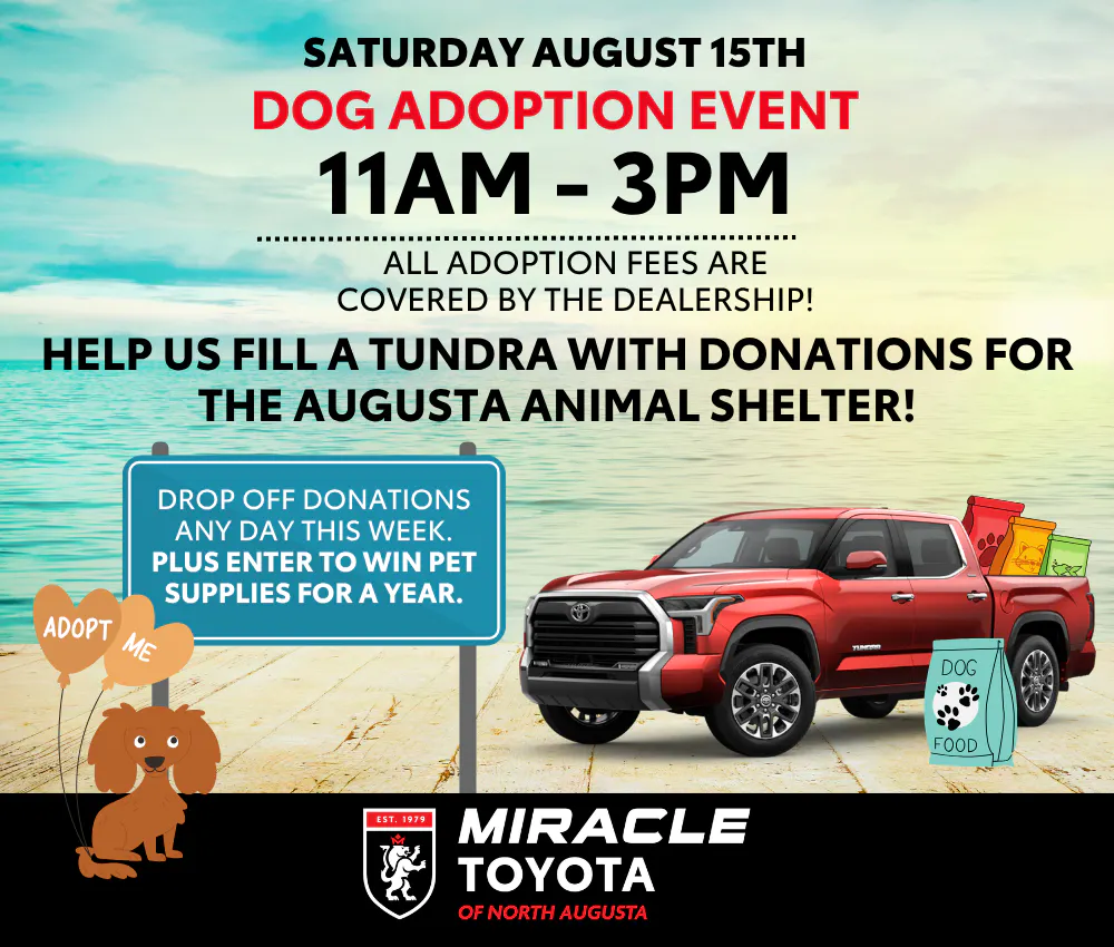 Dog Adoption 8/15