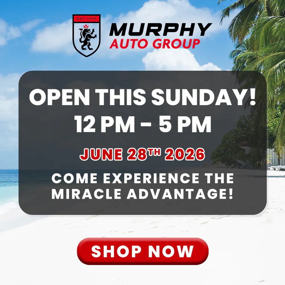Open Sunday 12 pm – 5 pm