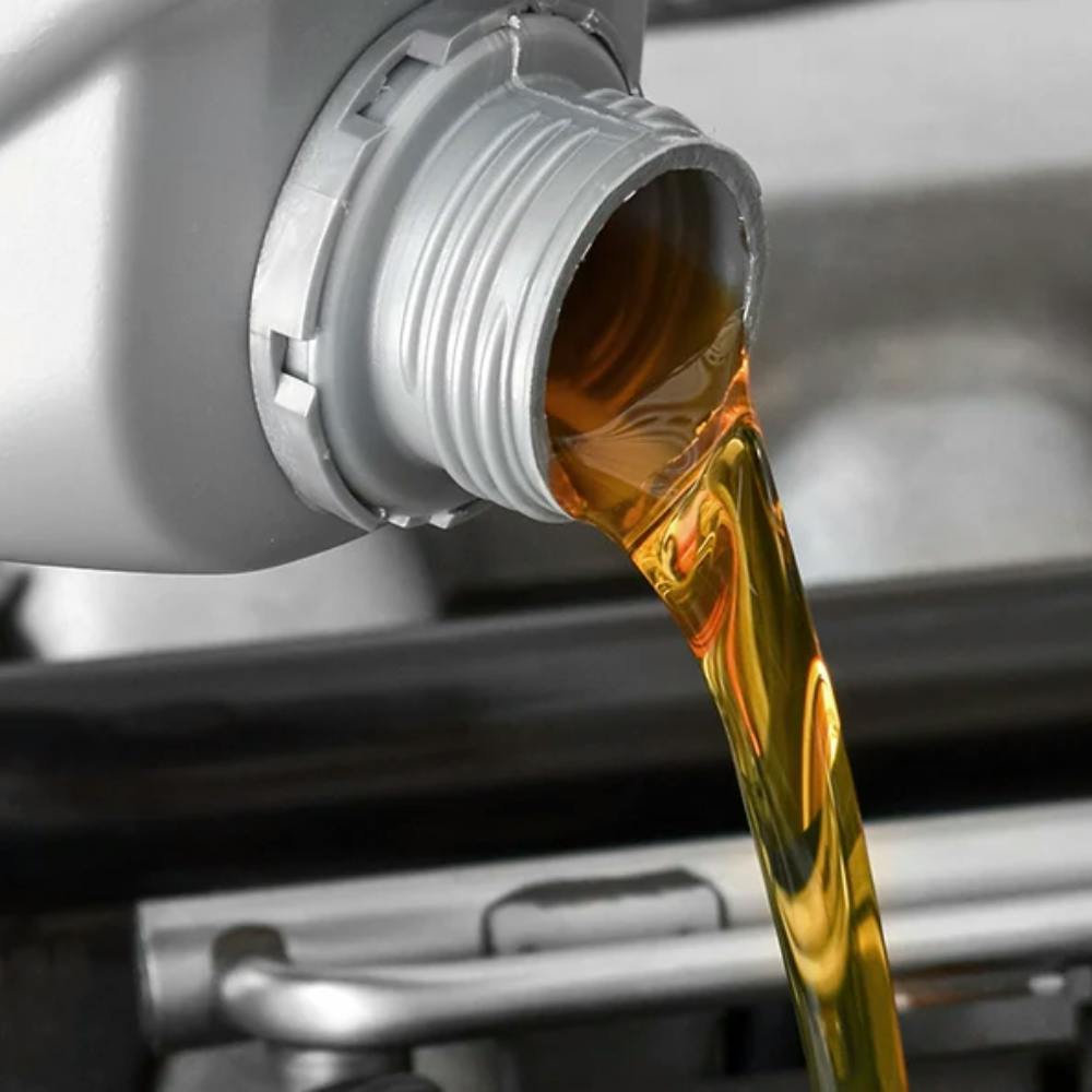 The Works Special | Open Road Honda