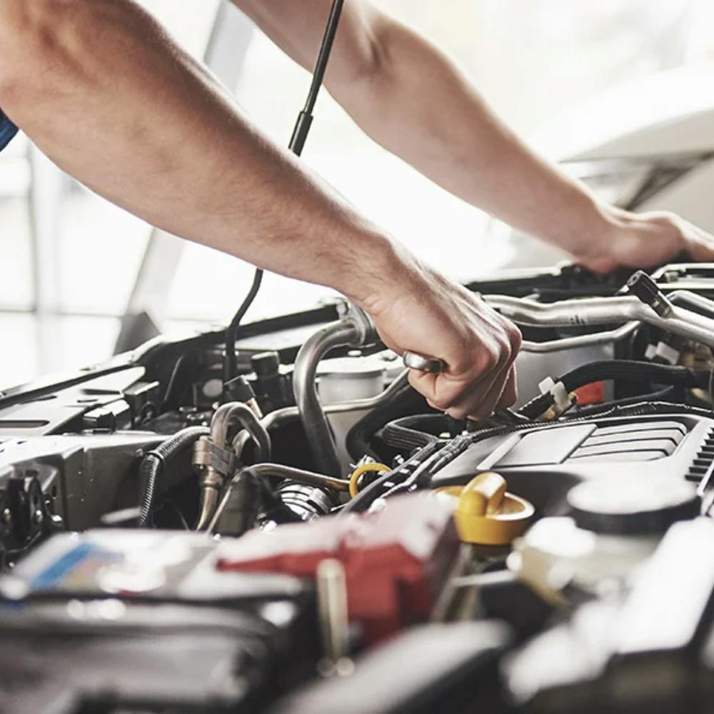 Winter Anti-Freeze Special | Open Road Honda