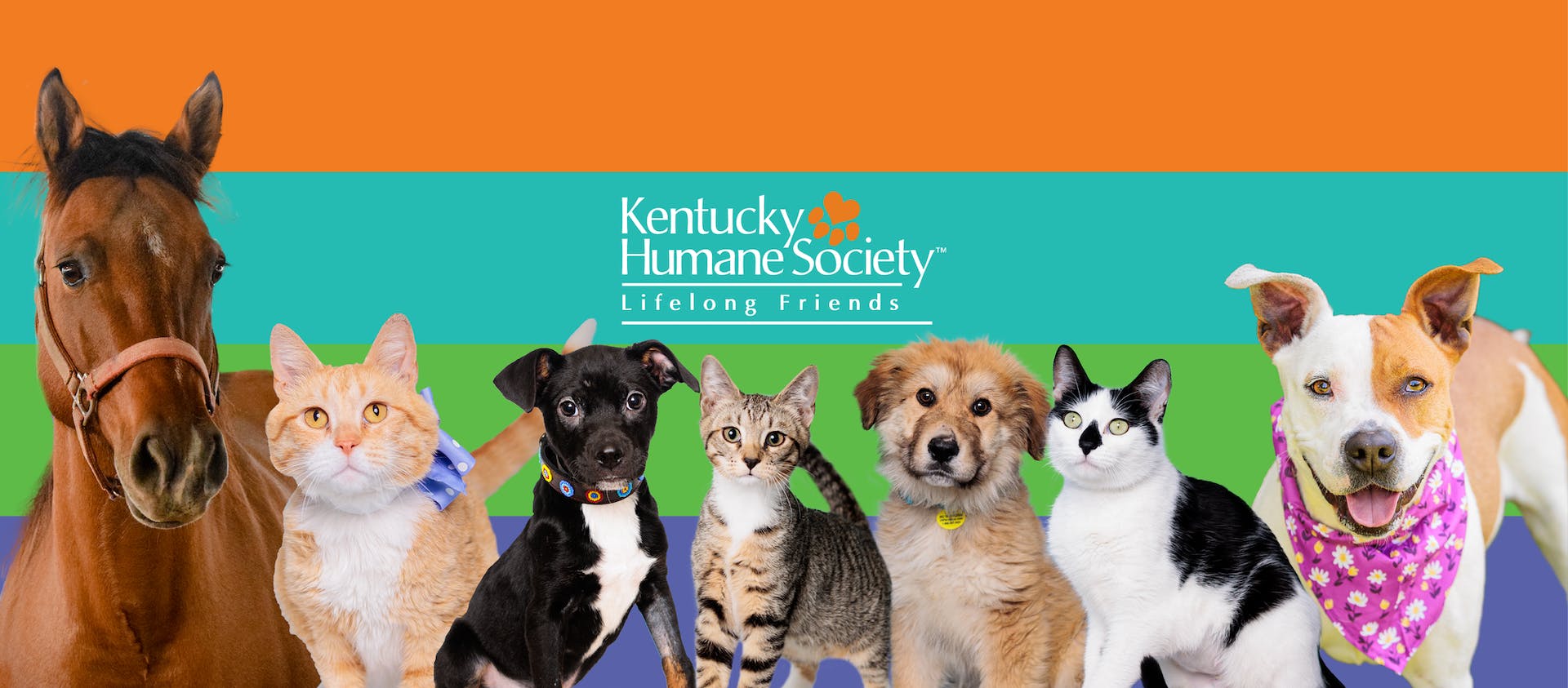 Kentucky humane society with animals