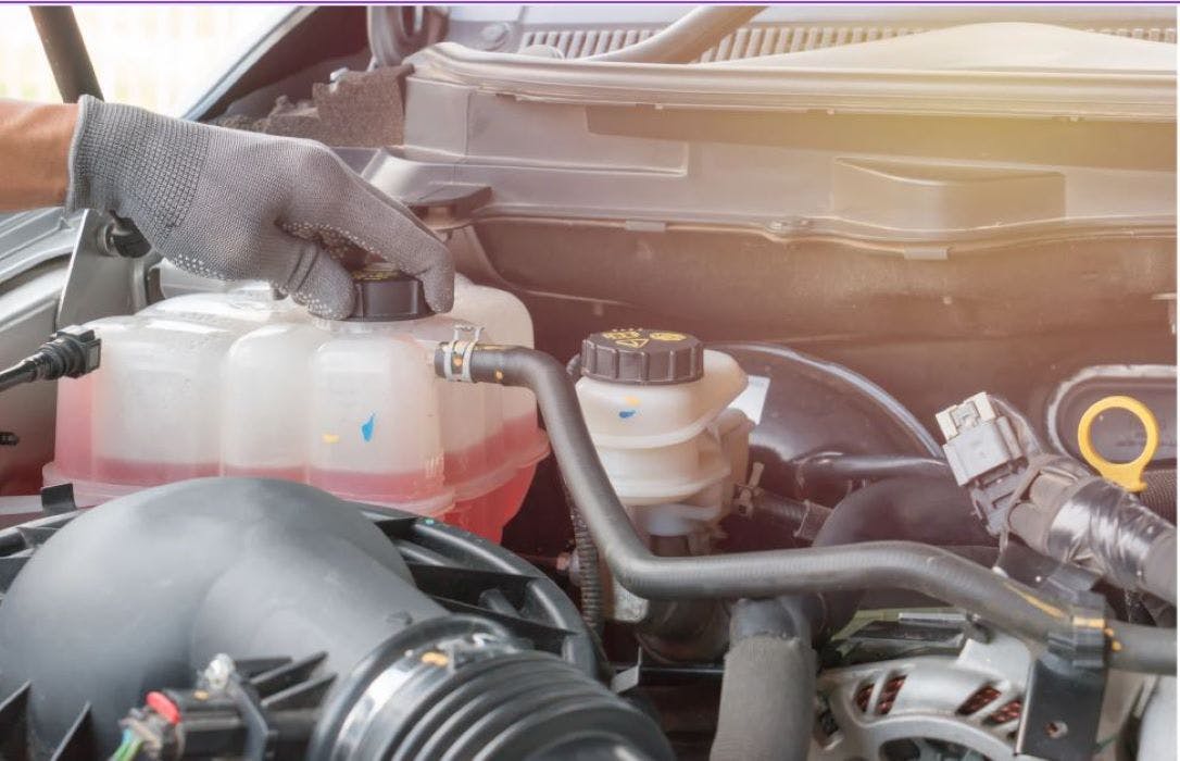 $50 Off Coolant & Differential Front & Rear | Queensboro Toyota