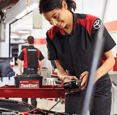Professional auto care