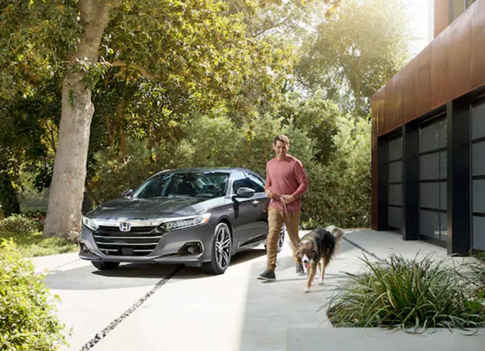 man-with-dog-honda-accord