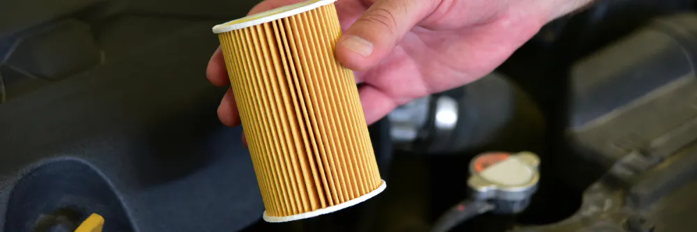 Cabin Air Filter Replacement – $10 Off | Salinas Honda Gastonia
