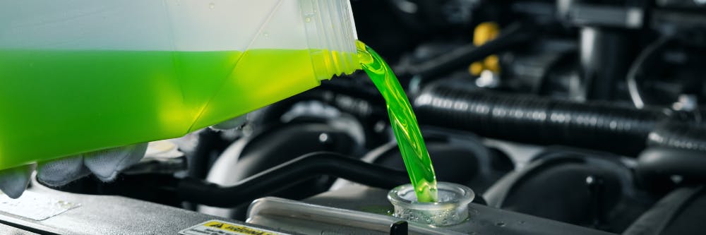 Genuine Toyota Antifreeze Coolant | South Coast Toyota