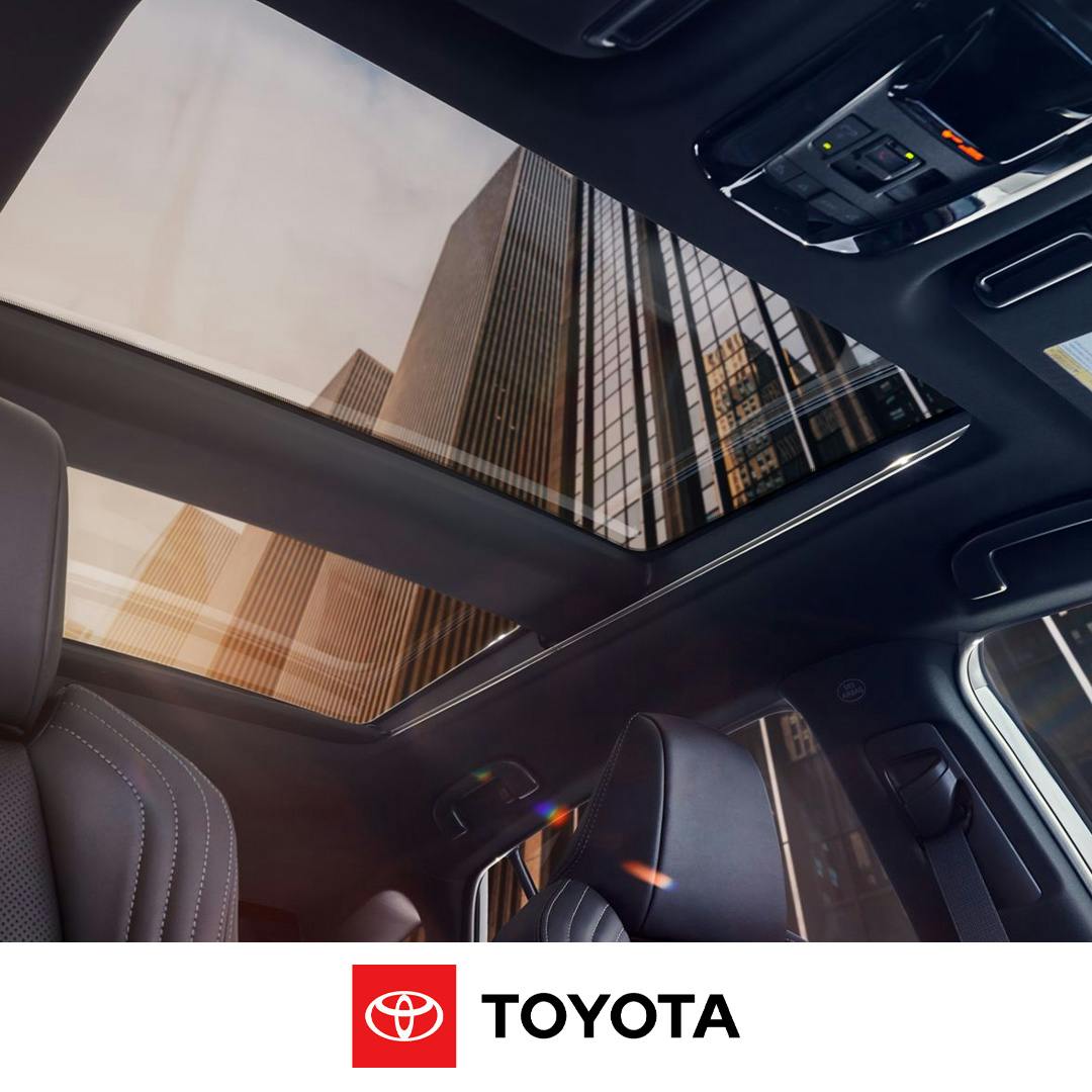 venza moonroof