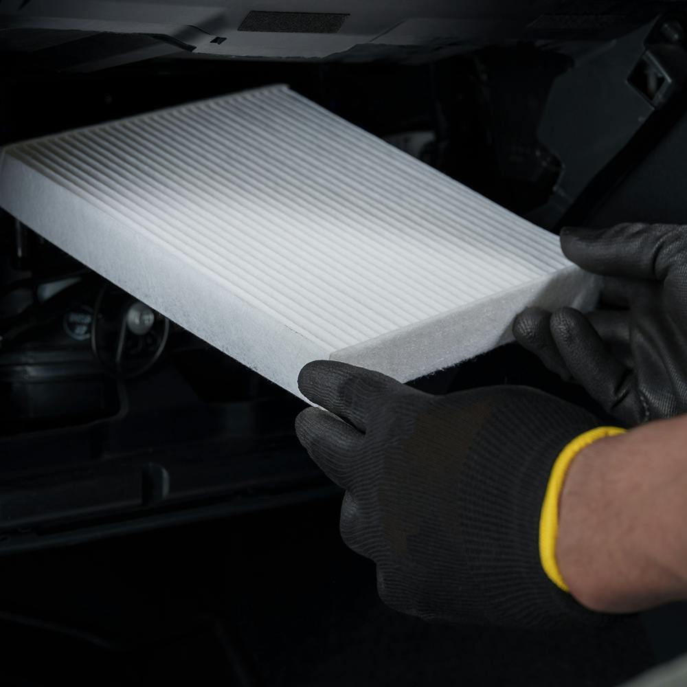 The “Valley Allergy” Refresh | Steven Toyota