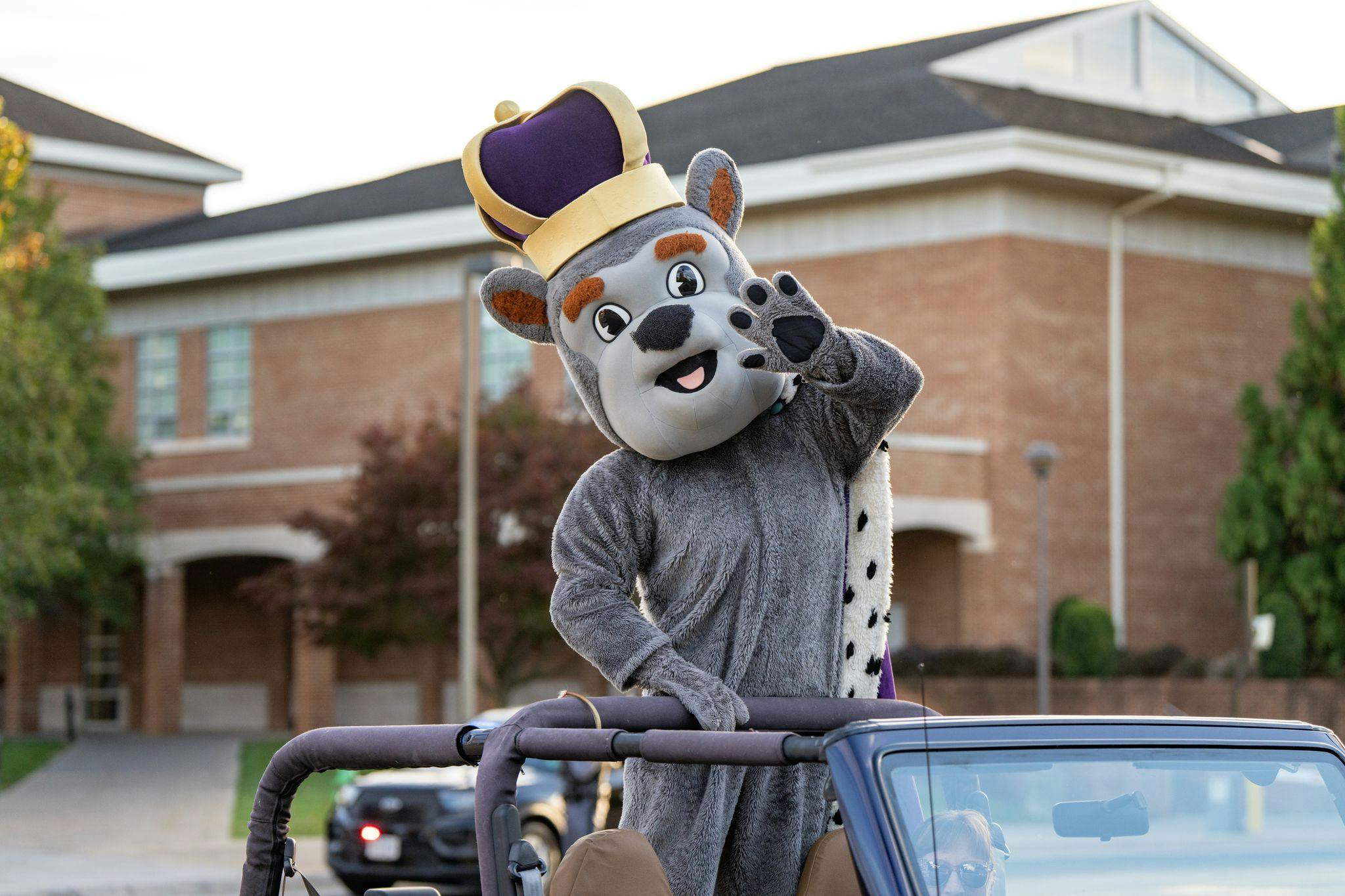 TD701C4w JMU Mascot