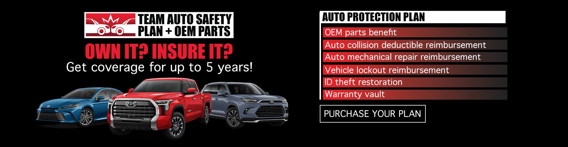 Auto Safety Plan