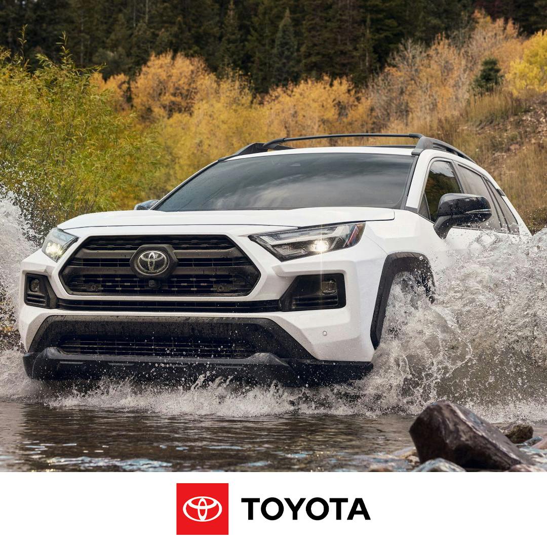 rav4 white rav4