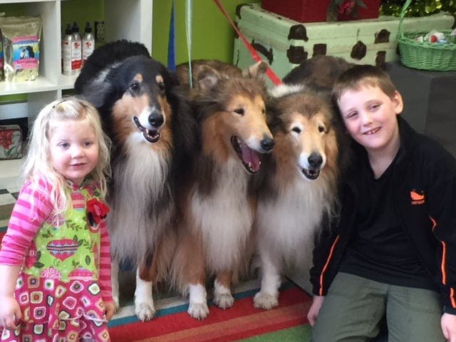 dogs with kids