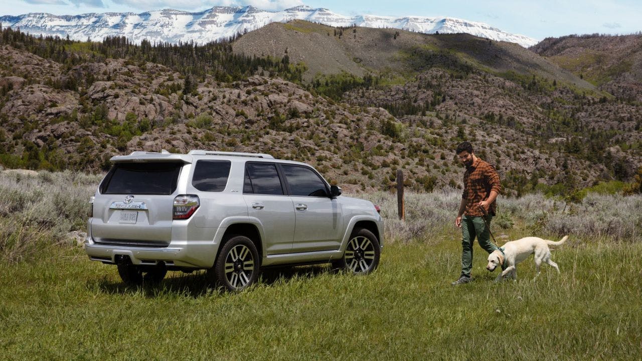 4runner grey man and dog